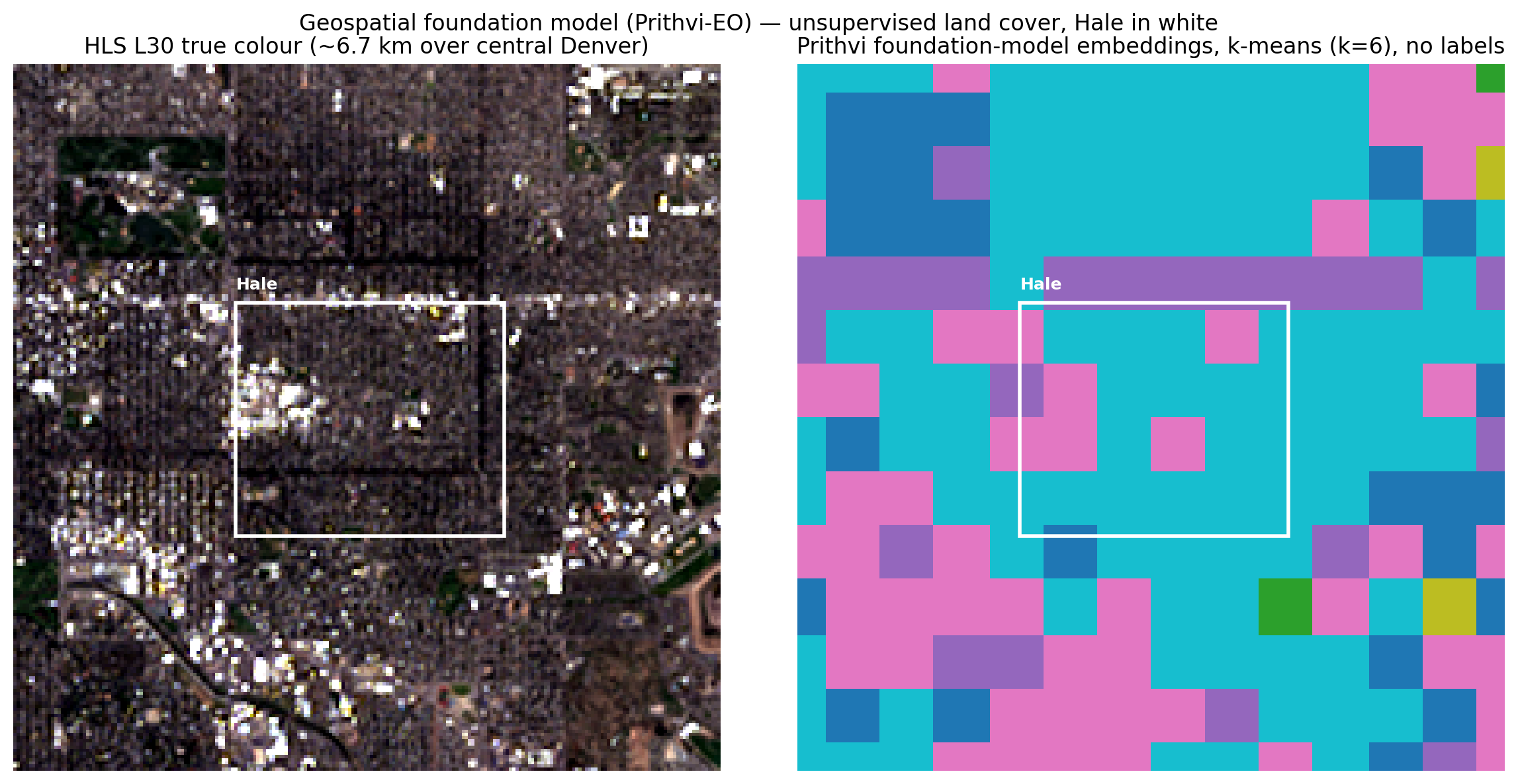 Left, an HLS true-color image of central Denver with Hale outlined. Right, Prithvi's learned features grouped into land-cover clusters without labels.