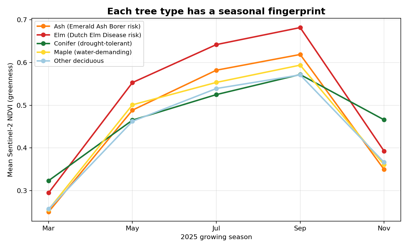 Line chart of average Sentinel-2 greenness for each management class across five 2025 dates.