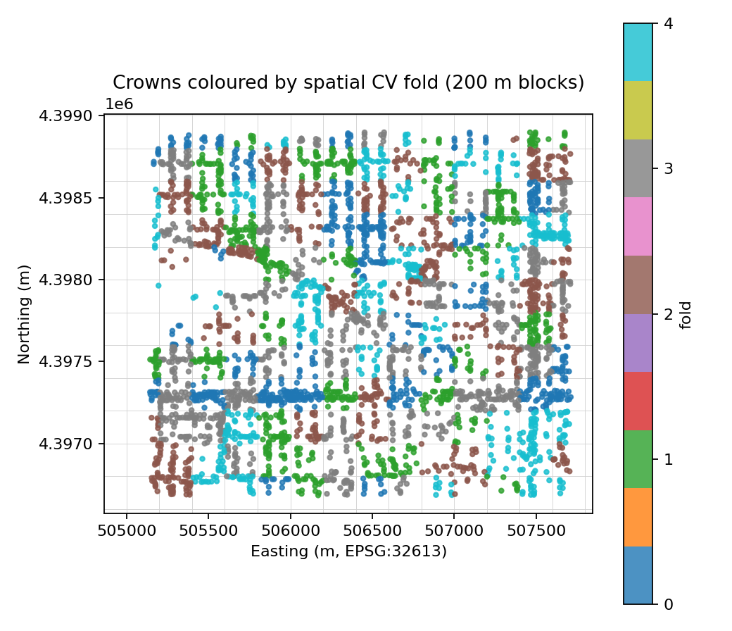 Crowns colored by spatial cross-validation fold.
