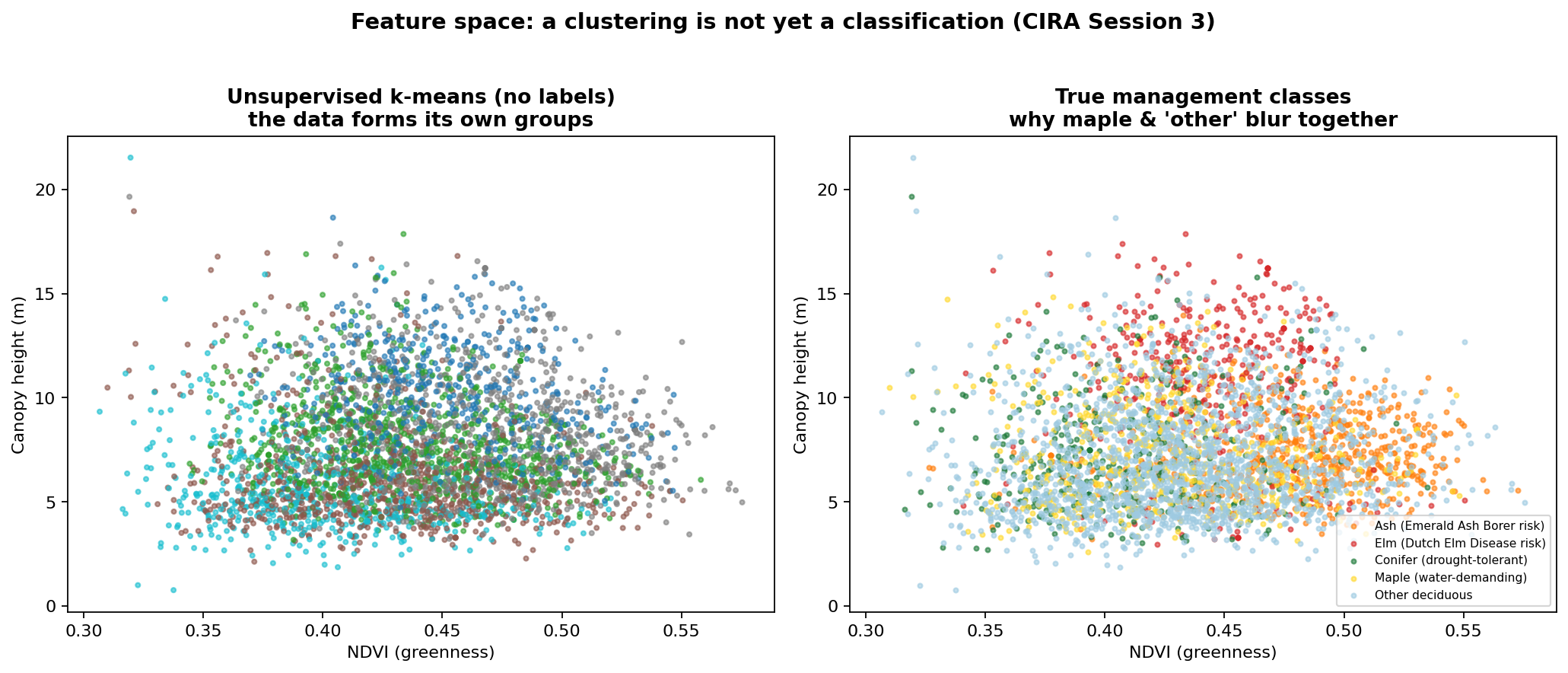 Two scatter plots of crowns by greenness and height: clusters found without labels, and the true classes.